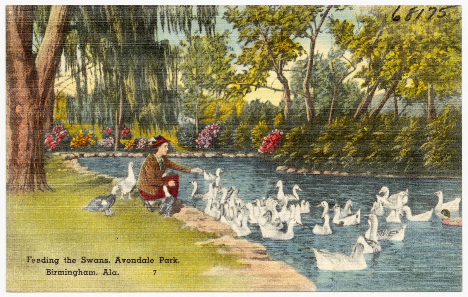 Feeding the swans, Avondale Park, Birmingham, Ala., Boston Public Library - undated