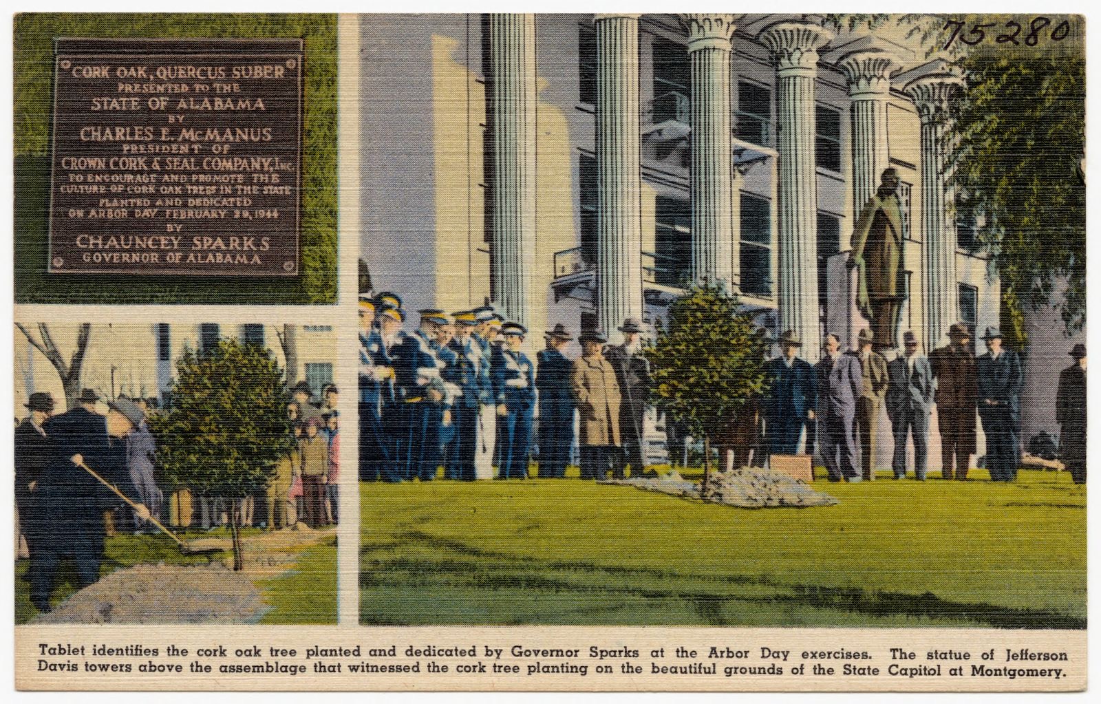Tablet identifies the cork oak tree planted and dedicated by Governor Sparks at the Arbor Day exercises., Boston Public Library - undated