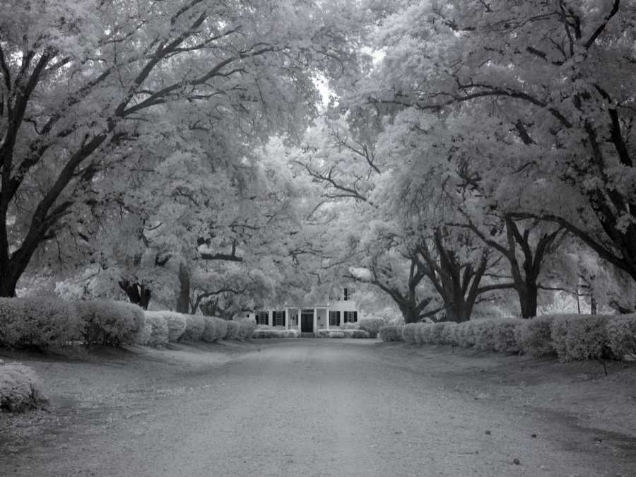 Chasley, Monroe County, Alabama