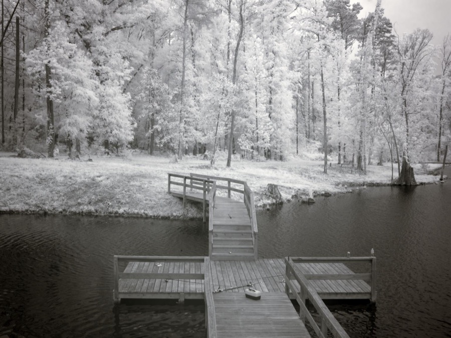 Fishing in Monroe County, Alabama