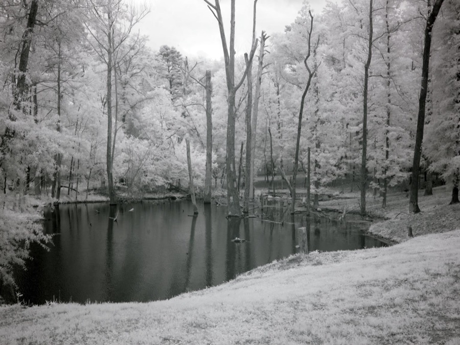 Fishing in Monroe County, Alabama