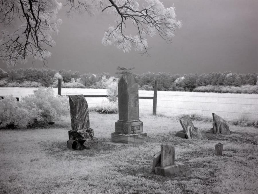 Cemetery in a cow pasture in rural Monroe County, Alabama