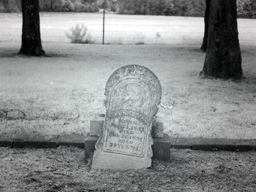 Cemetery in a cow pasture in rural Monroe County, Alabama
