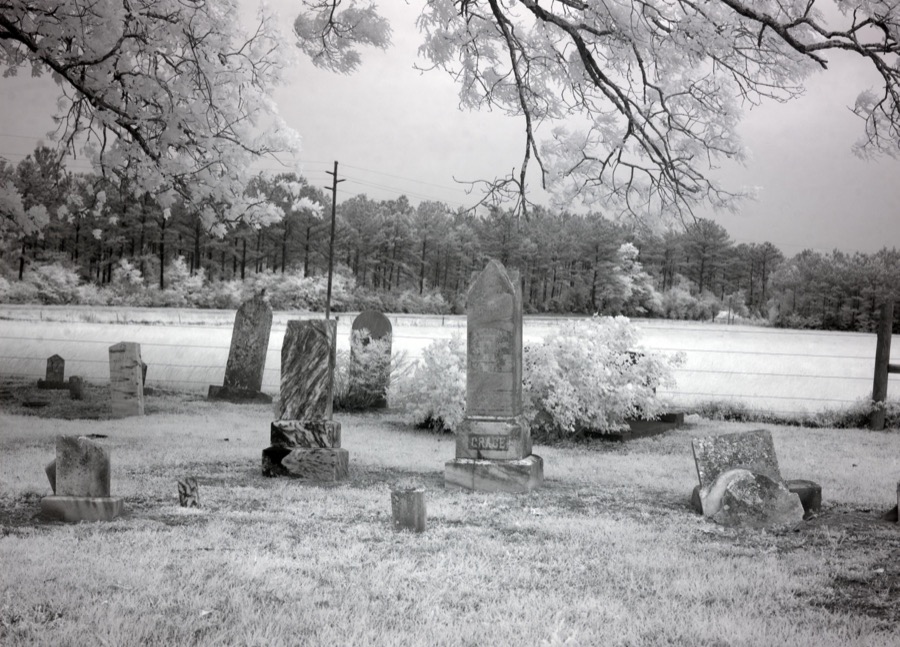 Cemetery in a cow pasture in rural Monroe County, Alabama