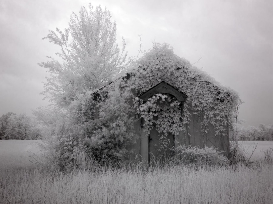 Scenic images from rural Monroe County, Alabama
