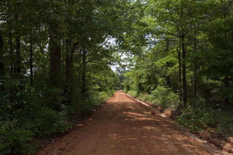 Red clay road in rural Monroe County, Alabama