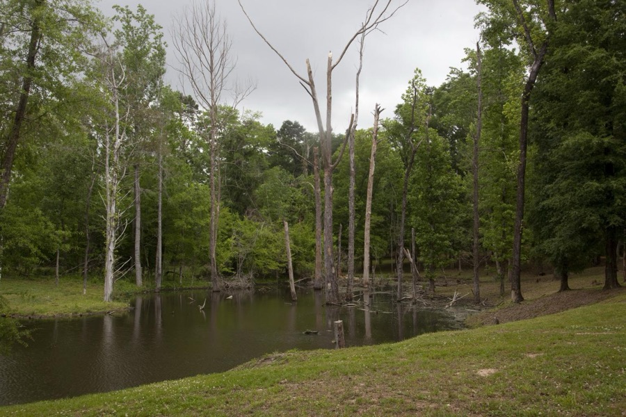 Beautiful, scenic rural Monroe County, Alabama
