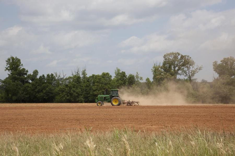 Farmland in Monroe County, Alabama