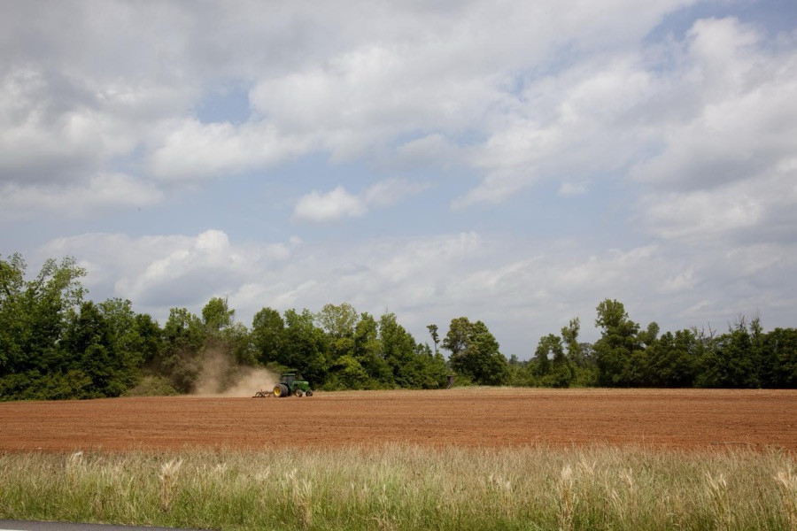Farmland in Monroe County, Alabama