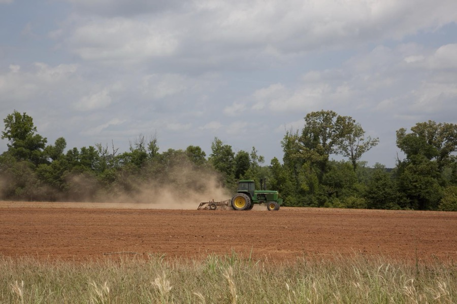 Farmland in Monroe County, Alabama