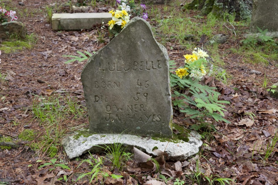 Key Underwood Coon Dog Memorial Graveyard, Colbert County, Alabama