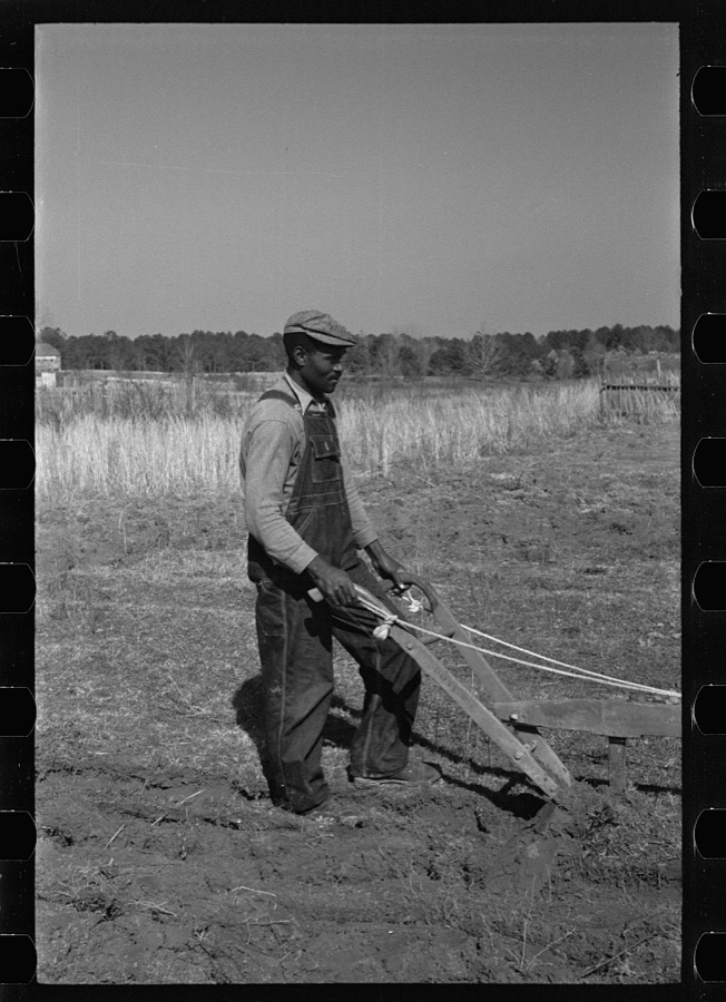 Plowing at Gee's Bend, Wilcox County, Alabama