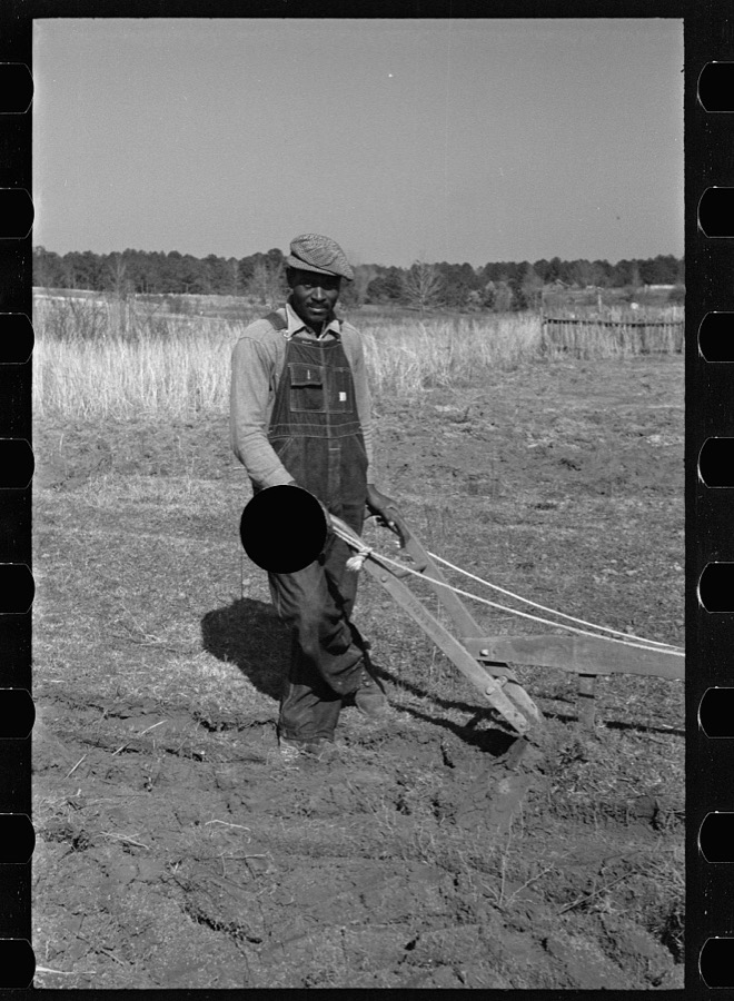 Plowing at Gee's Bend, Wilcox County, Alabama