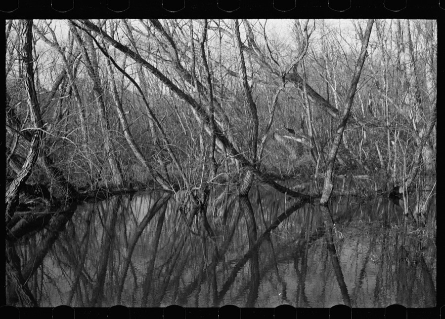 Beaver dam, Tuskegee Project, Macon County, Alabama