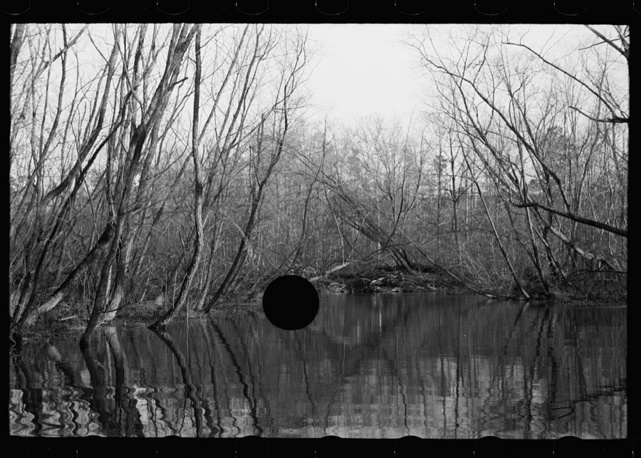 Beaver dam, Tuskegee Project, Macon County, Alabama