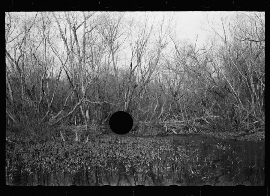 Beaver dam, Tuskegee Project, Macon County, Alabama