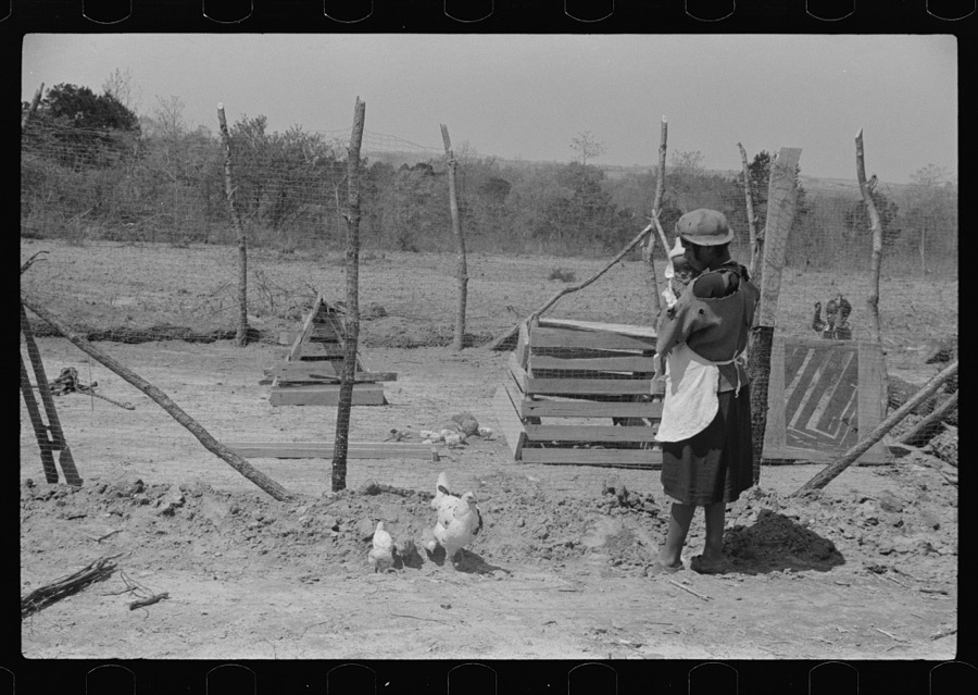Charles McGuire's wife and baby looking at their new poultry yard and pen with biddies. Tenant purchase clients. Pike County, Alabama