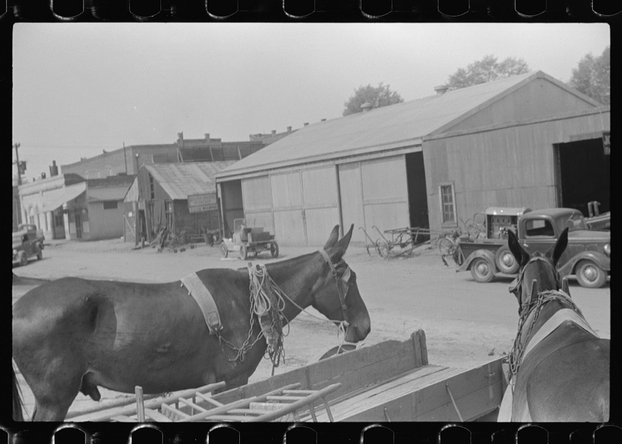 Farmer going home from town. Saturday afternoon, Enterprise, Alabama