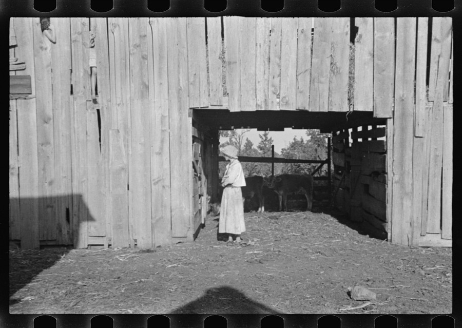Dora Mae Tengle, sharecropper's daughter, Hale County, Alabama