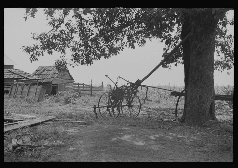 A sharecropper's yard, Hale County, Alabama