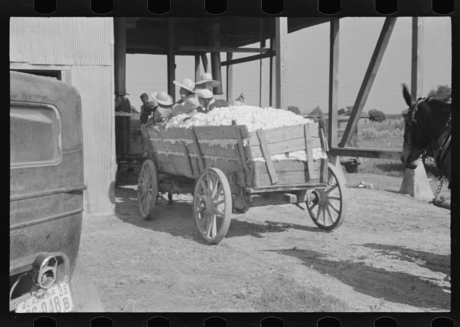 At the cotton gin. Cotton gin and wagons. Hale County, Alabama