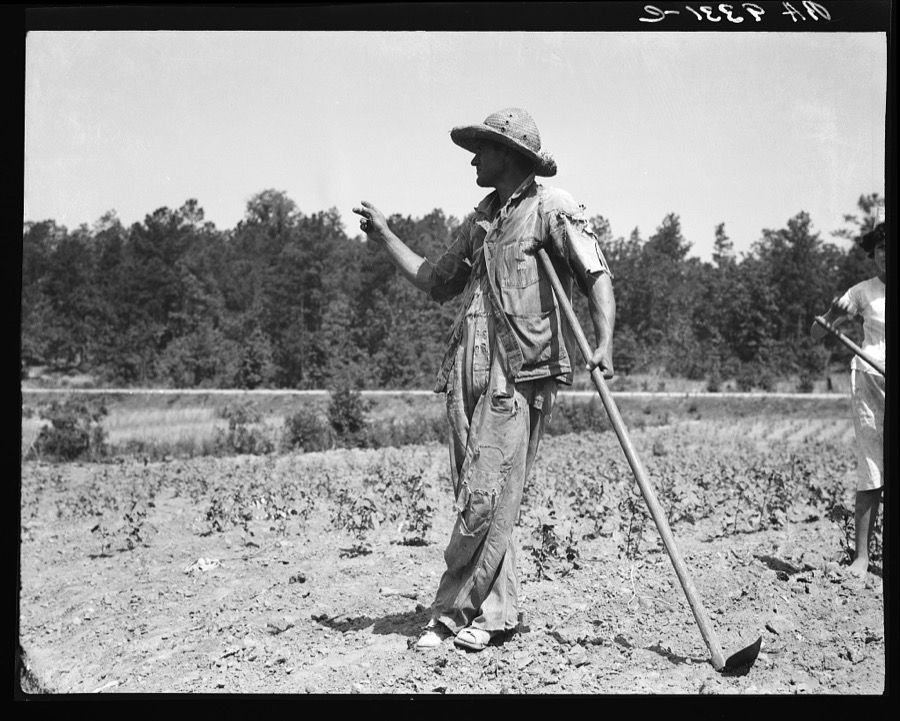 Alabama tenant farmer near Anniston, Alabama