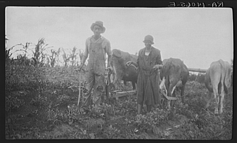 George Cook and his wife of Calhoun community. Lowndes County, Alabama