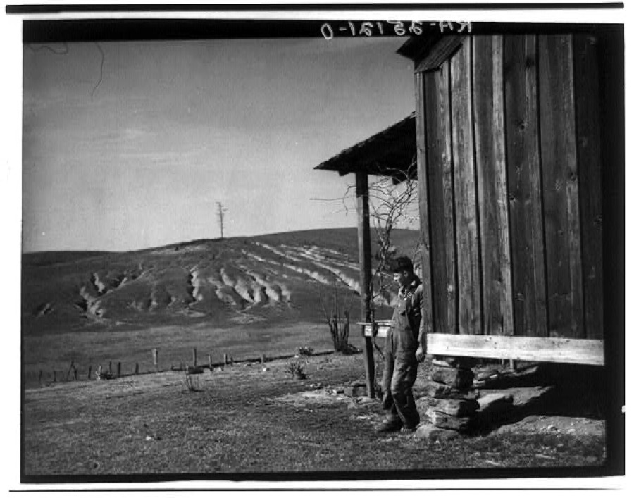 Eroded land on tenant's farm. Walker County, Alabama