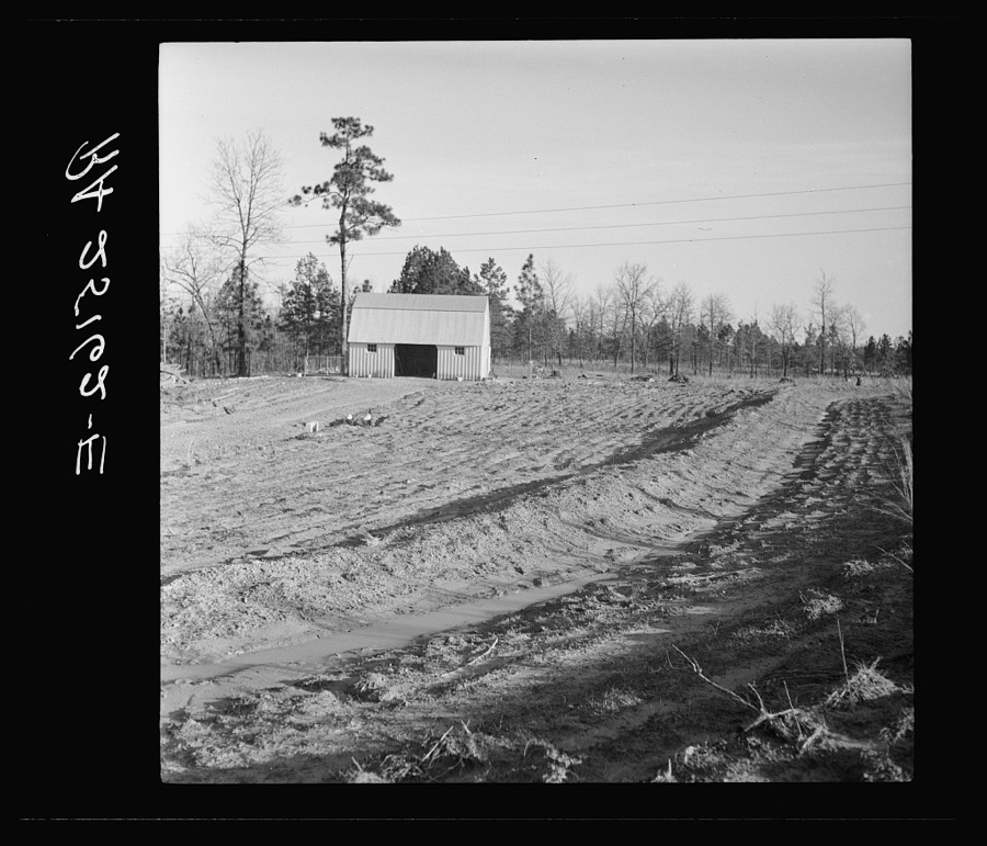 Terrace. Bankhead Farms, Alabama