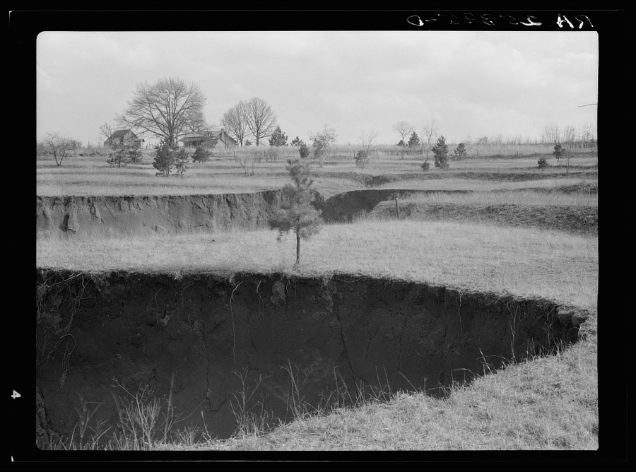 Erosion. Cotton was grown on this field until twenty-five years ago. Note terraces. Chilton County, Alabama