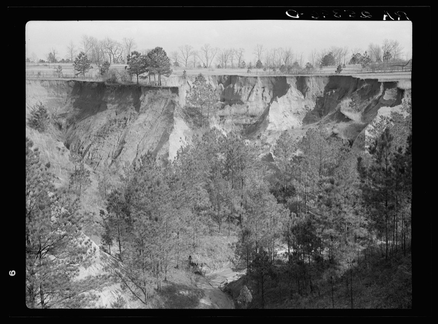 Erosion. Cotton was grown on this field twenty-five years ago. Chilton County, Alabama