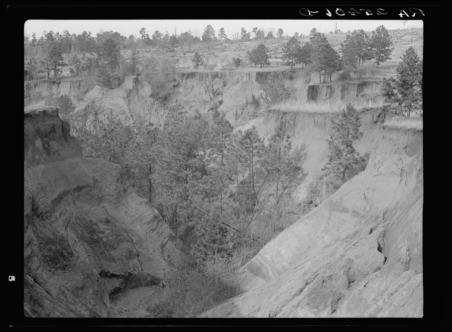 Erosion. Cotton was grown on this field twenty-five years ago. Chilton County, Alabama