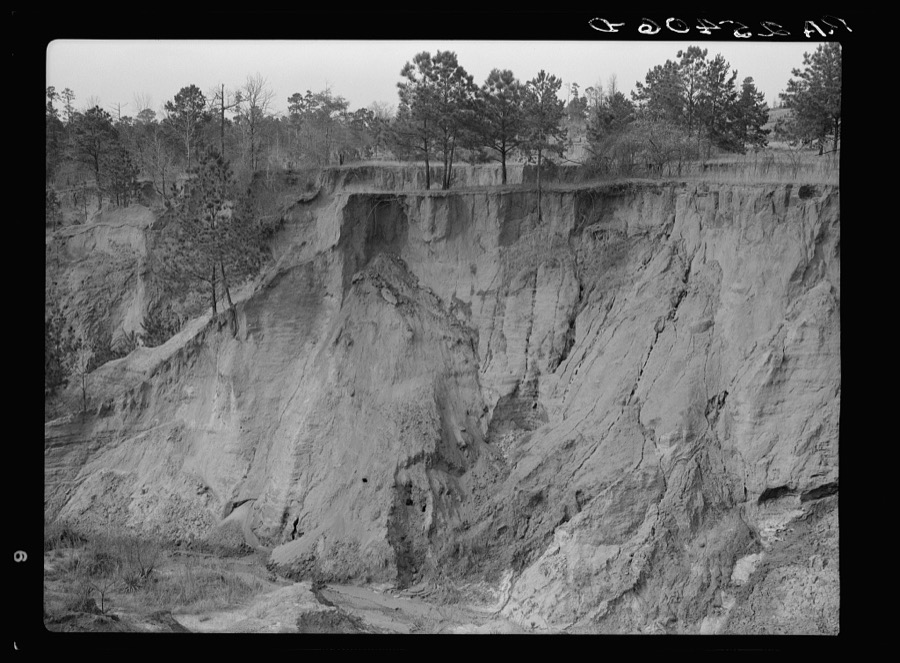Erosion. Cotton was grown on this field twenty-five years ago. Chilton County, Alabama
