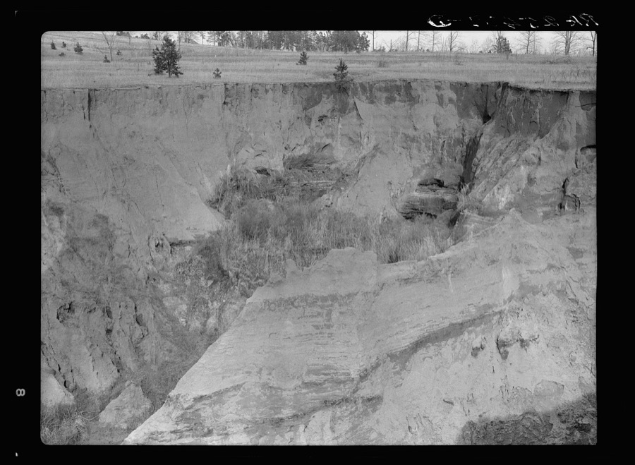 Erosion. Cotton was grown on this field twenty-five years ago. Chilton County, Alabama