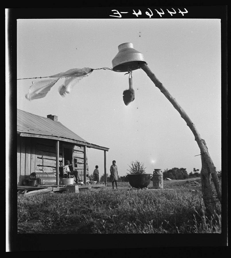 Negro farm family near Greensboro, Alabama who are participants in a FSA (Farm Security Administration) dairy co-op