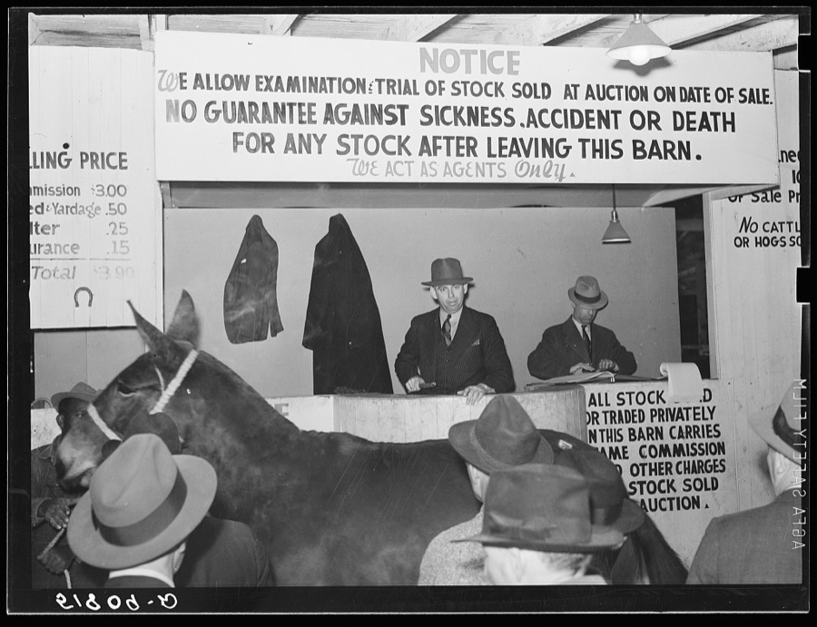 Mule auction in Montgomery, Alabama