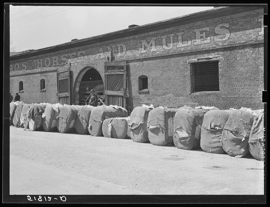 Burst bales of cotton on street in front of stock barn and warehouse. Montgomery, Alabama