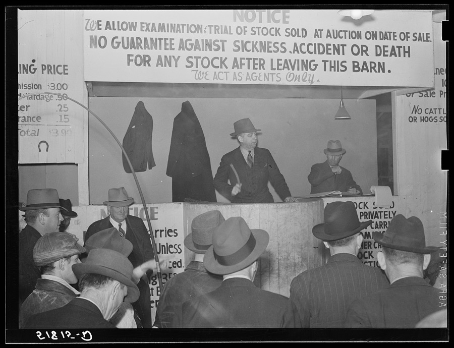 Mule auction in Montgomery, Alabama