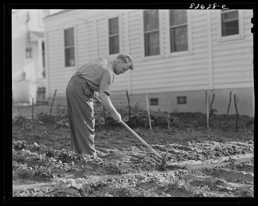 Childersburg, Alabama. Cousa Court defense housing project. Defense worker irrigating his Victory garden behind his house