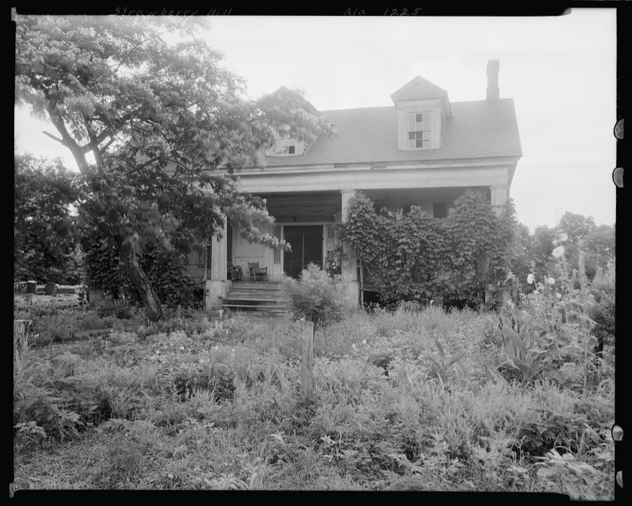 Strawberry Hill, Forkland vic., Greene County, Alabama