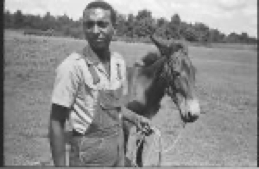 [Image from LOOK - Job 65-2434 titled Ivanhoe Donaldson