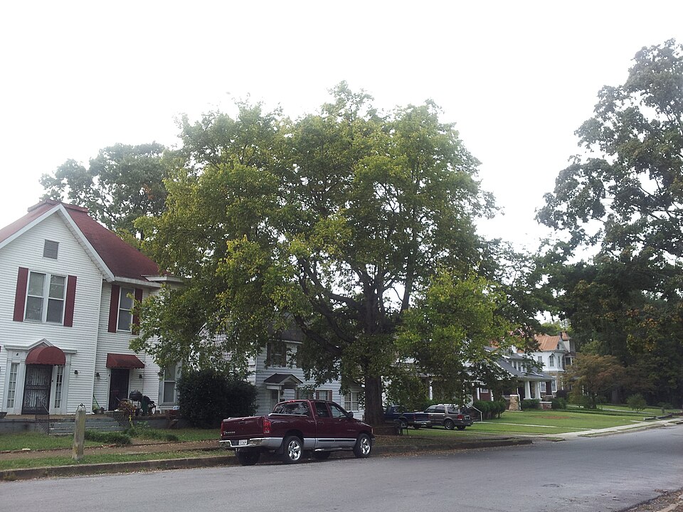 Photograph of Sheffield Residential Historic District