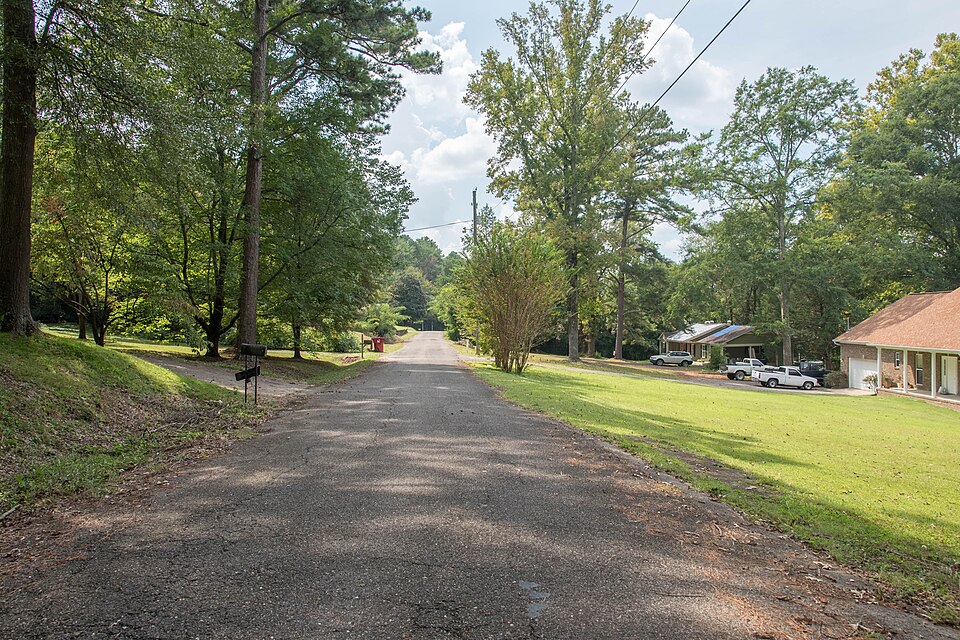 Photograph of Pinson Hills Historic District