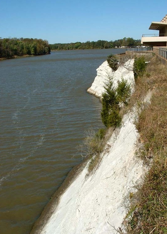 Photograph of White Bluff