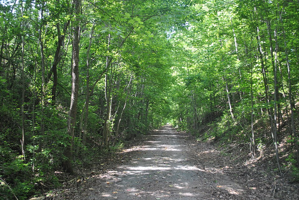 Photograph of Sulphur Trestle Fort Site
