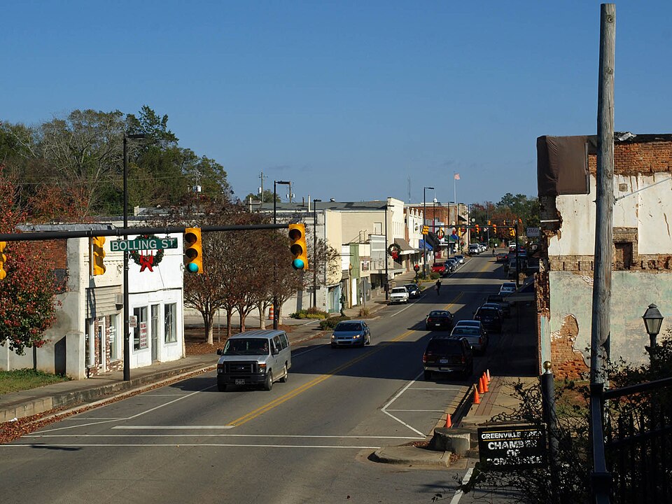 Photograph of West Commerce Street Historic District