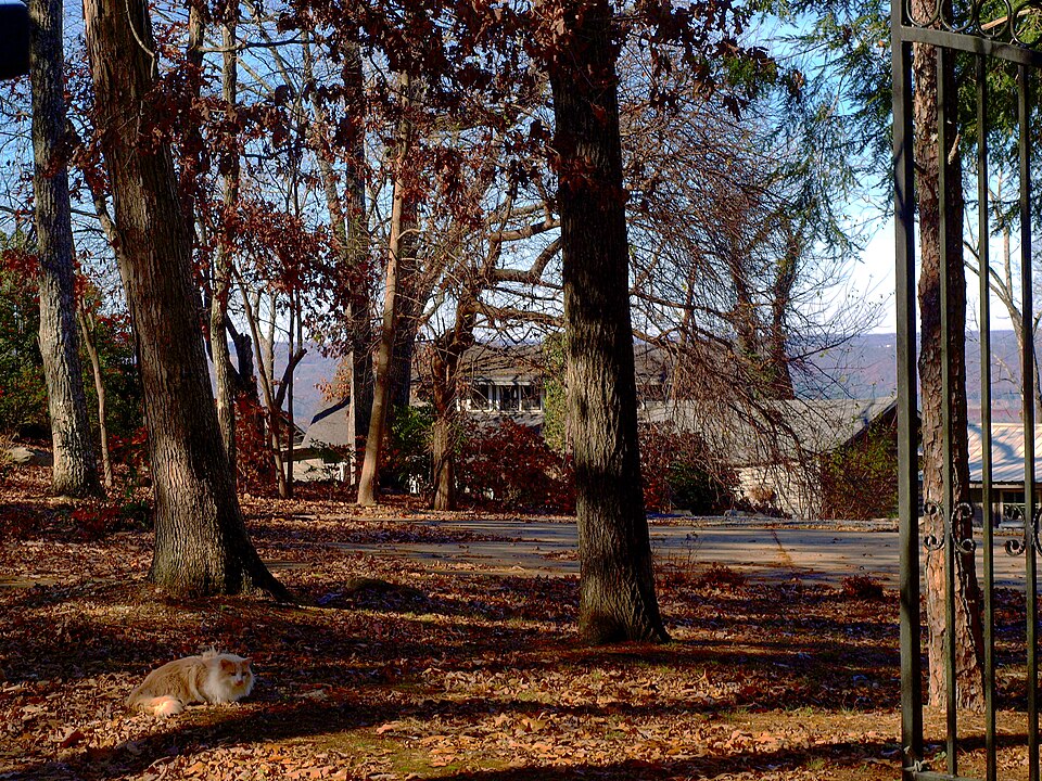 Photograph of Dr. J.A. Gorman House