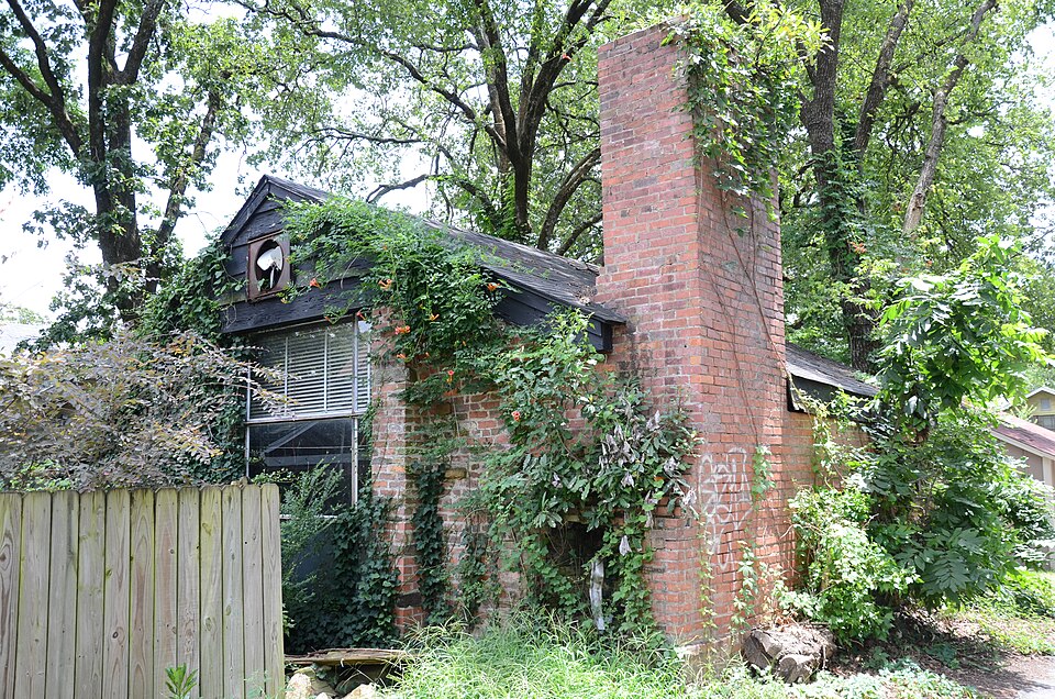 Photograph of Adrian Brewer Studio