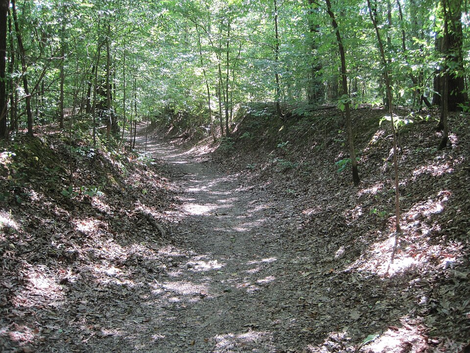 Photograph of Memphis to Little Rock Road-Village Creek Segment