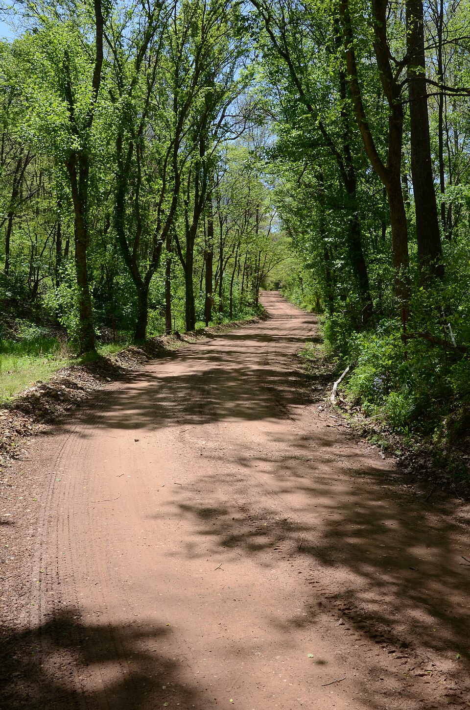 Photograph of Springfield to Fayetteville Road-Elkhorn Tavern Segment